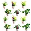 NZVQH 12 Pezzi Mini Bonsai in Miniatura, Piante Artificiali e Fiori in Vaso di Plastica, Accessori Decorazione per Casa delle Bambole, Giardino delle Fate, Davanzale Cucina