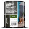 JOVIRA PINTURAS Pittura di copertura opaco. Pittura per interni ed esterni con eccellente potere coprente. (750 Millilitri, Verde Bosco)