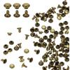 QUARKZMAN 100 Set Di Rivetti A Cappello Singolo 3mm Acciaio Al Carbonio Testa Tonda Borchie Pioli Fissaggi Tubolari Pioli Metallici Per Riparazioni Decorazioni Artigianato In Pelle, Bronzo