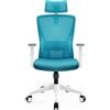 Durrafy Sedia da Ufficio Ergonomica, Poggiatesta & Supporto Lombare Regolabili, Rete Traspirante, 120° Inclinazione（Non bloccabile）, 360° Girevole, 150kg Carico. (blu)