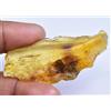 32.95 CT Naturale Tanzania Ambra Fossil Insetto Inclusione FACET Certificato