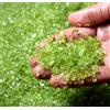 Naturale 500 Carato Pakistan Peridoto Gemma Grezzo Lotto Investimento Grado