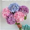 NONE Nuovo fiore artificiale di ortensia Real Touch idratante bouquet di fiori finti per la decorazione domestica di nozze soggiorno desktop floreale