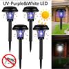 DOUWENXI Lampada Solare Anti-Zanzare per Esterni, Giardino, Patio, con Luce UV Bianca e Viola, Repellente per Insetti, Trappola per Zanzare per Cortile e Barbecue