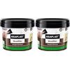 AGUAPLAST Stucco per Legno Pronto all'Uso - Aguaplast Woodfiller Colore Rovere 1 kg Fibrorinforzato - Riempitivo per Buchi e Crepe su Mobili, Infissi e Pavimenti - Verniciabile Senza Fondo (Confezione da 2)