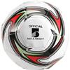 MOLERRI Pallone da Calcio Professionale Misura 5 Pallone da Calcio Ufficiale da Allenamento da Competizione Calcio All'Aperto Bianca