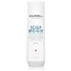 Goldwell Dualsenses Scalp Specialist 250 ml
