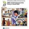 Oecd SME and Entrepreneurship Policy in Brazil 2020 (Tascabile)