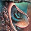 Various Artists Meddle Reimagined: A Tribute to Pink Floyd (Vinyl LP)