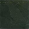 Elliott Sharp Figure Ground (CD)