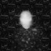 Mezzanine Swimmers Black Cat in Heat (Vinyl LP) 12" Album