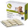 CAMON SpA DETOXIVET 60CPR