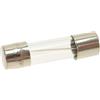 HorecaForniture Fusibile Ritardato Ø 5X20 Mm - 10 Pz 3049004