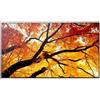 Sharp Display Solutions PROMOZIONE Sharp Display Solutions MULTISYNC M552 Cod. 60006055