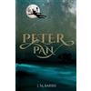 J M Barrie Peter Pan (Illustrated) (Tascabile)