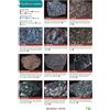 Chris Pellant Helen Pellant A Guide to Common Rocks (Poster)