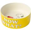 BLOGO Snoopy Dog Bowl More Please Yellow