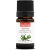 La Compagnie des Sens TEA TREE (Melaleuca alternifolia) BIO - 5mL - Olio Essenziale - 100% Puro, Naturale, Garantito ChromaCert® - Chemiotipizzato & Integrale
