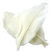 Jiangbered 5x 50 di Foglie di Magnolia Naturale con Scheletro, Cartoncino, Scrapbooking, Artigianato, Bianco