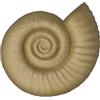 Generico Ripari per Rettili Forma Ammonite - Rifugio per Piccoli Animali - Habitat Decorativo per Dormire Giocare e Riposare in Giardino o Vasche