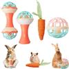 FIDWALL 4 Pezzi Set di giocattoli per conigli Bell Ball con giocattolo da masticare carota per piccoli animali domestici,sicuro,durevole e divertente per giochi al chiuso e all'aperto