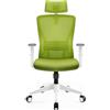 Durrafy Sedia da Ufficio Ergonomica, Poggiatesta & Supporto Lombare Regolabili, Rete Traspirante, 120° Inclinazione（Non bloccabile）, 360° Girevole, 150kg Carico. (verde)
