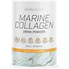 BioTechUSA Marine Collagen | collagene marino con vitamina C | Vitamina C per la normale formazione di collagene | da bere | 240 g, Mango
