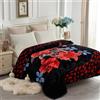 JYK Coperta in pile pesante coreano di visone, 2 strati, reversibile, 520 g/m², morbida e setosa, coperta calda per autunno e inverno