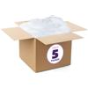 Fairfield Poly-Fil Fairfield - Imbottitura in fibra di seta, 2,3 kg, colore: bianco