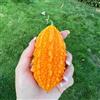 Generic semi di melone amargo 200pcs