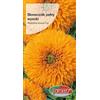 Verdica Semi di semi di girasole a doppia fioritura Helianthus annuus - giallo vivace, raggiunge 180 - 200 cm, ideale per mazzi e aiuole, fiorisce in terreno fertile, semina: primavera (2 grammi)