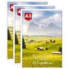 Hoikwo Cornice A3,Cornice Bianca in PVC,Cornice Foto da Parete, Confezione da 3 Pezzi