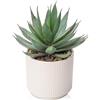 Hollyone Piante Succulente Artificiali Pianta di Aloe Vera, Succulente Finte in Vaso di Ceramica, Pianta di Aloe Finta in Vaso per Casa Ufficio Bagno Tavolo Camera da Letto Scaffale Decorazione 22cm