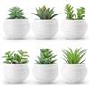 Autilyshop 6 piante grasse artificiali realistiche in vaso, per decorare casa e ufficio, per migliorare l'aspetto visivo senza attività quotidiane di manutenzione