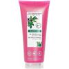Klorane Foglie di Fico Gel Doccia Nutritivo 75 ml
