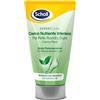 SCHOLL CREMA NUTRIENTE INTENS