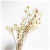 XIZHI 150 mini bouquet di margherite e camomilla, fiori secchi naturali, brasiliani, piccole stelle, margherite, fiori secchi decorativi, per matrimoni, fai da te, decorazioni per la casa (bianco)