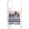 Cape Cod Beach Massachusetts Surfing Sur Custodia per iPhone 17 Capo Cod