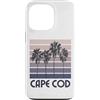 Cape Cod Beach Massachusetts Surfing Sur Custodia per iPhone 13 Pro Capo Cod