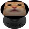 Cute Cat Meme Art Graphic Humor Divertente Carino Gatto Meme Sfocato Foto Umorismo PopSockets PopGrip Adesivo