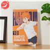 Bandai Haikyuu La Vista Dalla Sommità Kuji Shoyo Hinata Art Board ESPRESSO Dal GIAPPONE
