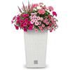 Prosperplast Vaso di fiori Rato 26,6 litri con inserto 26,5 x 26,5 x 50 cm in colore bianco.