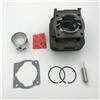 YBHDFArfT Kit Cilindro Pistone 40MM E 44MM 43CC 52CC 1E44F-5 44F-5 44-5 BG520 CG520 CG430 1E40F-5 40-5 Attrezzi Da Giardino Ricambi For Decespugliatori Rigenerati accessori per tosaerba(40-5 40mm 4 ports)