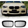 Gangying F20 F21 Griglia Radiatore Per BMW 1er F20 F21 Griglia 114 116 118 120 125 M135 M140 Griglia Anteriore Griglia a Singolo Piano Griglia 2011 2012 2012 2013 2014 Nero Lucida
