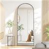Poeahu Specchio da Terra ad Arco, 180 x 80 Specchio da Parete Grande con Cornice in nero Alluminio, Specchio da Terra da Appoggiare o Appendere per Soggiorno, Camera da Letto, Ingresso, Nero