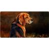 VAPOKF Tappeto da cucina con ritratto di cane Beagle, antiscivolo, lavabile, assorbente, per cucina, corridoio, lavanderia