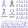 WANDIC Set di 30 spille viola lilla con nastro, per sensibilizzazione al caregiver, spasmi e cancro vulvare, spille in metallo con biglietto di incoraggiamento, sacchetti a rete individuali, per