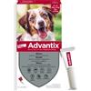 BAYER ITALIA Advantix Spot On 4 Pipette Da 2,5 Ml Per Cani da 10 Fino 25 Kg