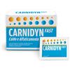Alfasigma Carnidyn Fast Magnesio E Potassio 20 Bustine - Integratore Per L'Energia
