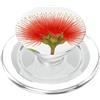 Aloha Gift Box Red Lehua Ohia Blossom Arte floreale hawaiana di Big Island PopSockets PopGrip per MagSafe